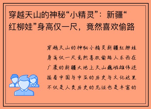 穿越天山的神秘“小精灵”：新疆“红柳娃”身高仅一尺，竟然喜欢偷路人东西