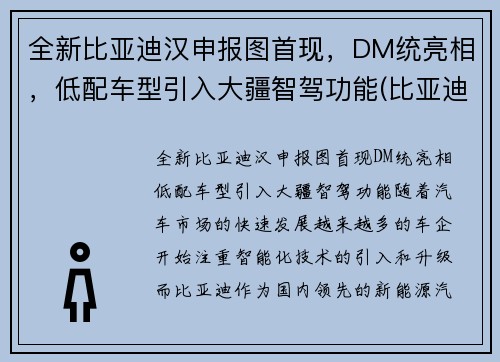 全新比亚迪汉申报图首现，DM统亮相，低配车型引入大疆智驾功能(比亚迪汉2022全新)