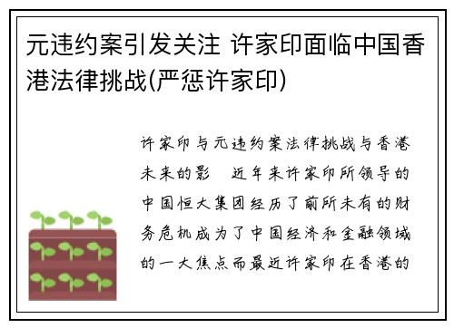 元违约案引发关注 许家印面临中国香港法律挑战(严惩许家印)