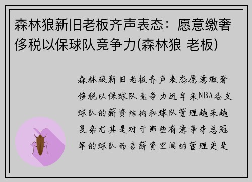 森林狼新旧老板齐声表态：愿意缴奢侈税以保球队竞争力(森林狼 老板)